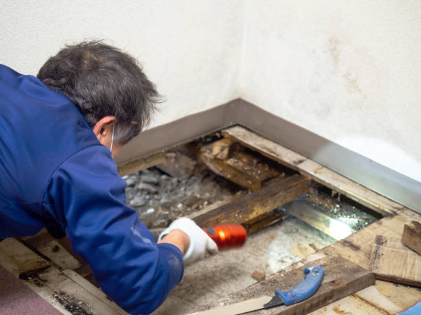 Water Damage Restoration in Wilmer, TX