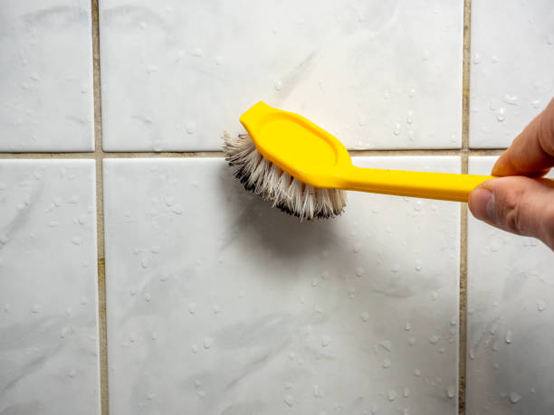 Best Certified Mold Removal  in Wilmer, TX