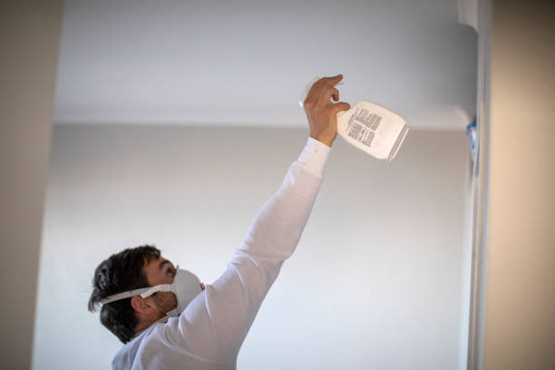 Best Professional Mold Removal  in Wilmer, TX