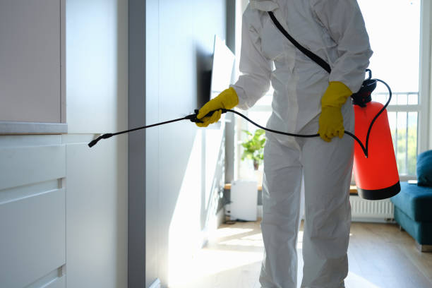 Best Mold Cleaning Services  in Wilmer, TX