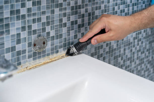 Best Professional Mold Removal  in Wilmer, TX